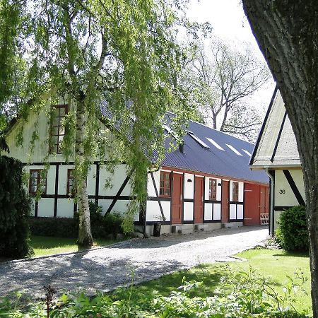 Skallerup Dyssegaard B&B المظهر الخارجي الصورة