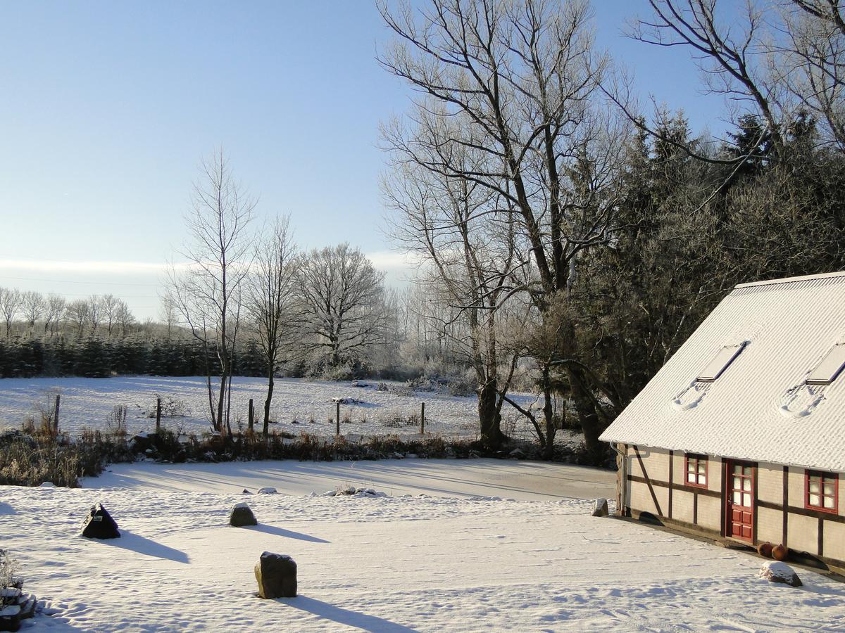 Skallerup Dyssegaard B&B المظهر الخارجي الصورة