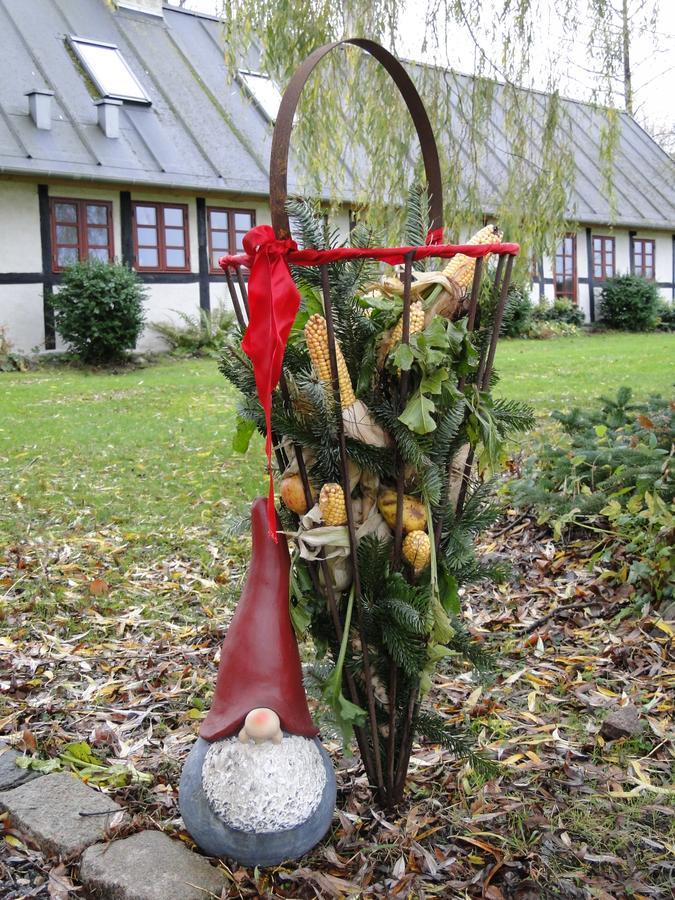 Skallerup Dyssegaard B&B المظهر الخارجي الصورة