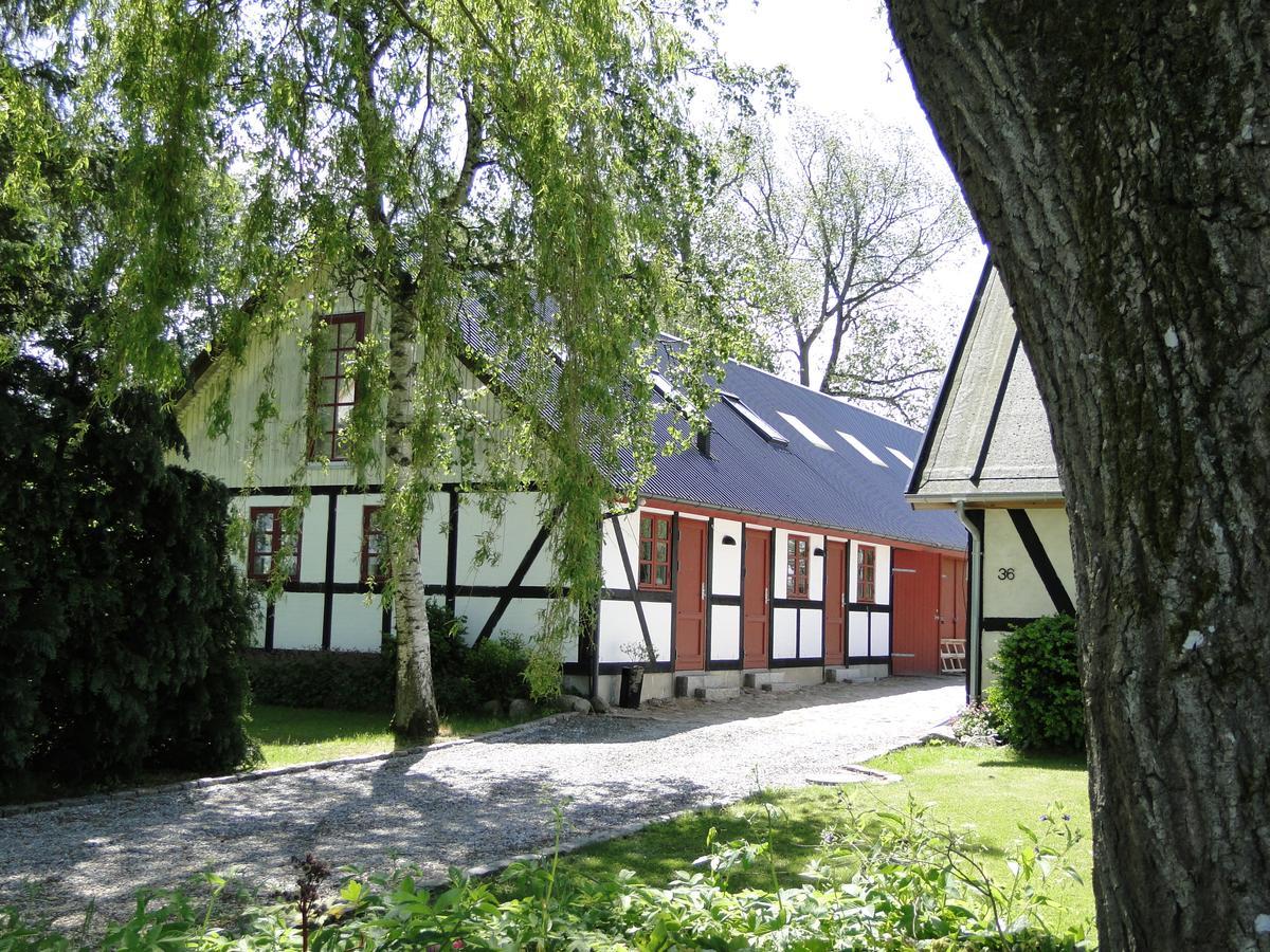 Skallerup Dyssegaard B&B المظهر الخارجي الصورة