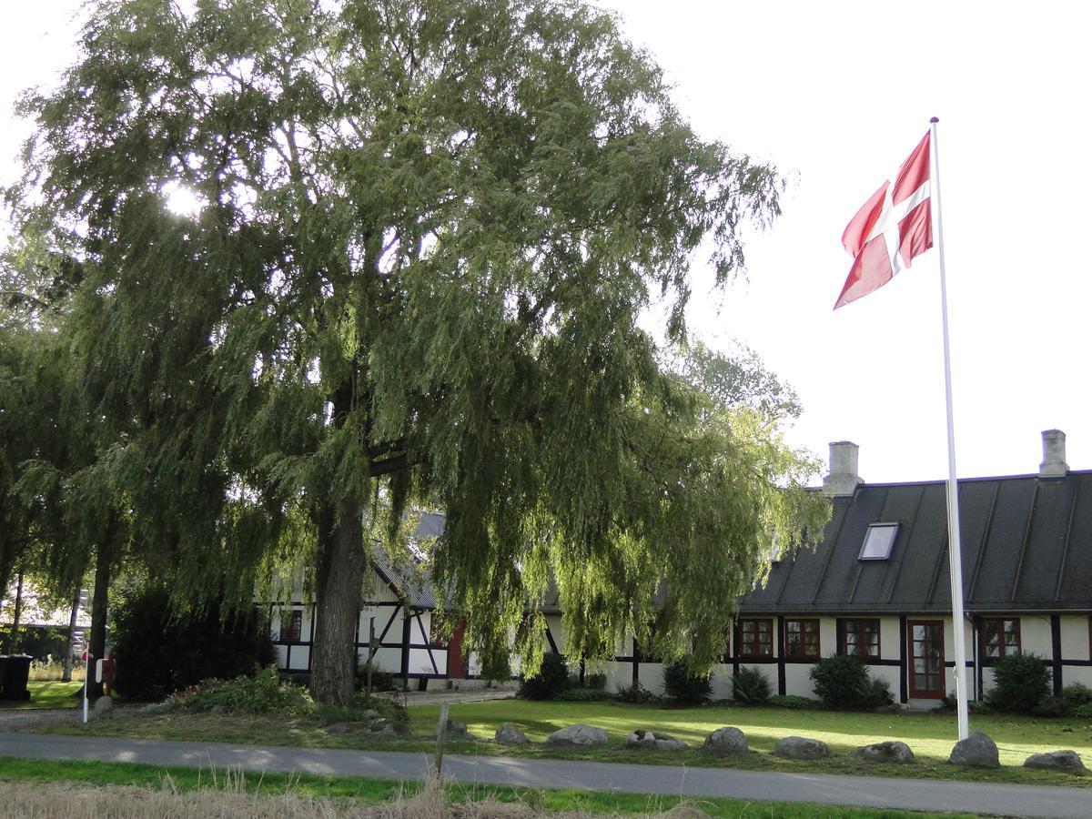 Skallerup Dyssegaard B&B المظهر الخارجي الصورة