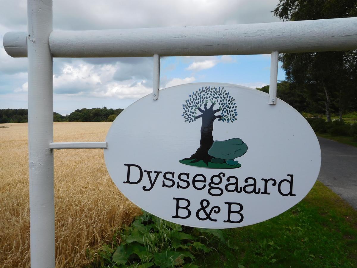 Skallerup Dyssegaard B&B المظهر الخارجي الصورة